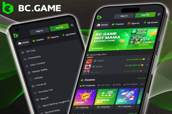 Exploring BC.Game Casino A Gaming Haven in Cameroon