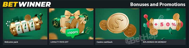 Comprehensive Guide to BetWinner Sportsbook
